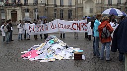 dsc00503.jpg