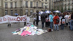 dsc00504.jpg